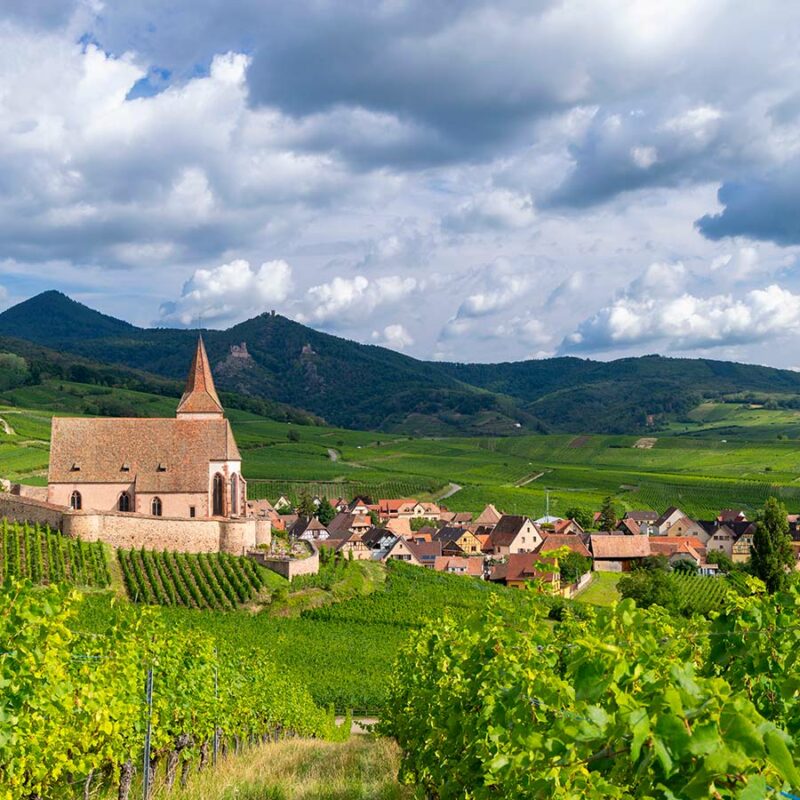 Atelier Œnologie "Vins d'Alsace"