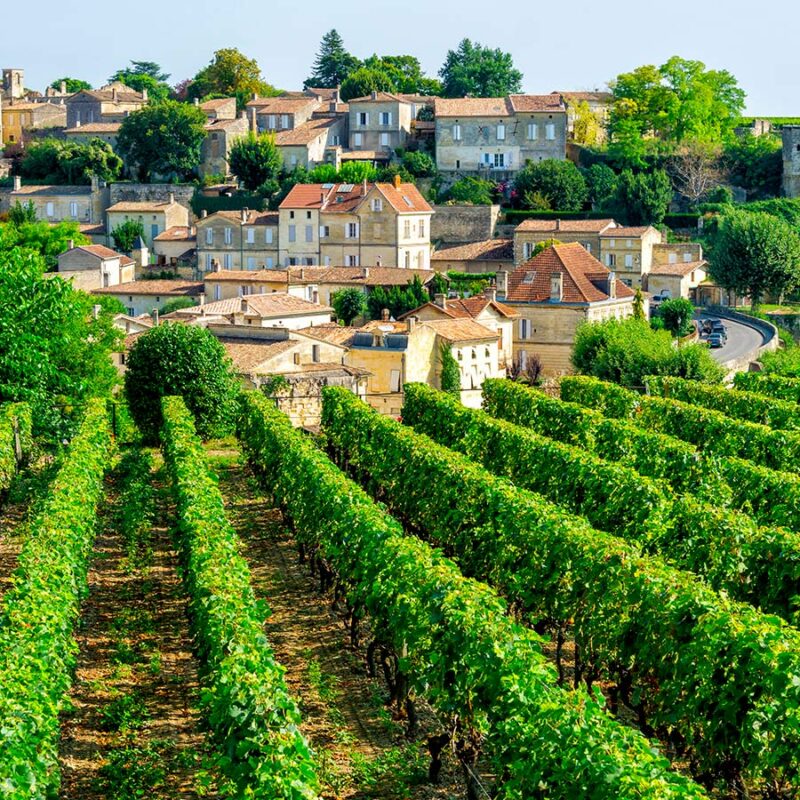 Atelier Œnologie "Vins de Bordeaux"