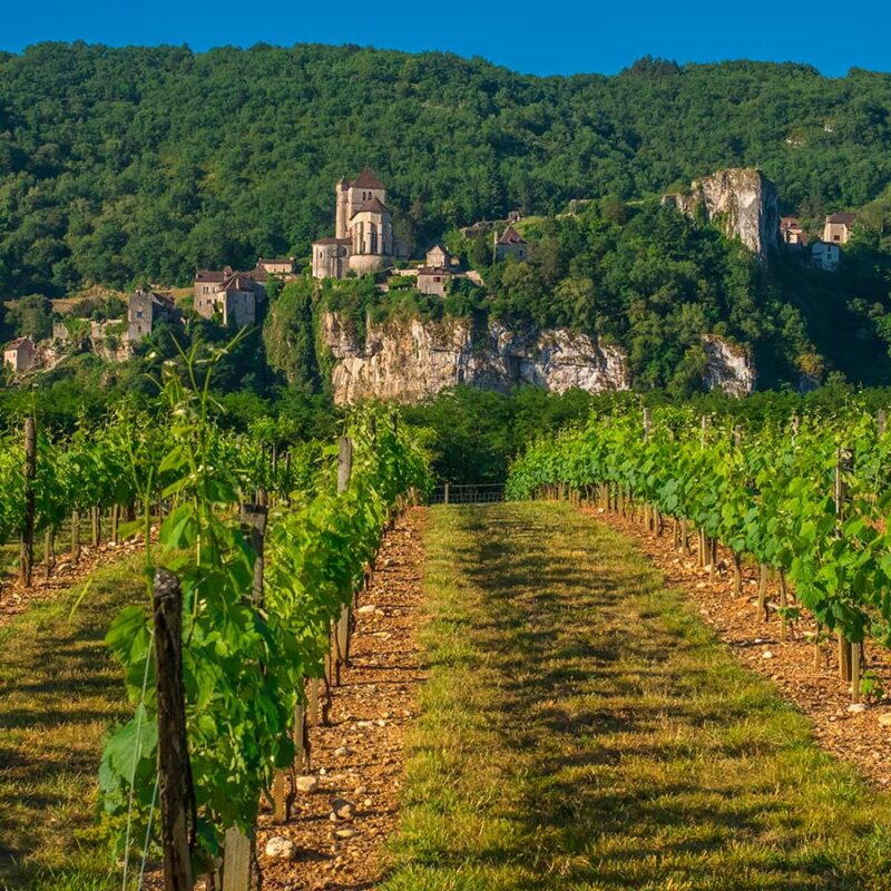 Atelier Œnologie "Vins du Sud-Ouest"