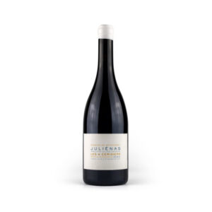 Domaine de Boischampt Juliénas 4 Cerisiers 2019