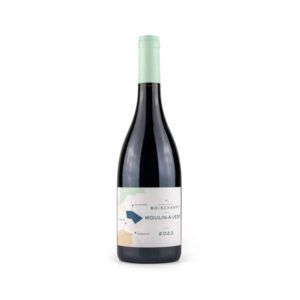 Domaine de Boischampt Moulin à Vent Au Michelon 2023