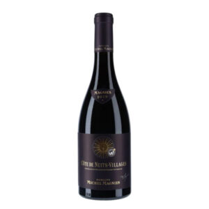 Domaine Michel Magnien Côte de Nuits Villages 2021
