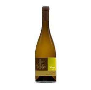 Domaine Ollier Taillefer Faugères Allegro Blanc 2023