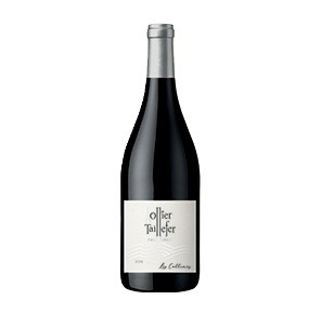 Domaine Ollier Taillefer Faugères Les Collines Rouge 2021