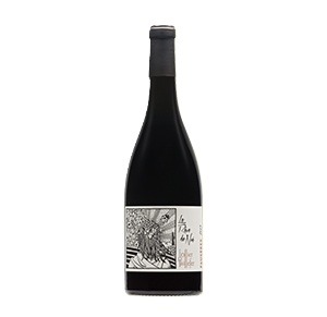 Domaine Ollier Taillefer Faugères Le Rêve de Noé Rouge 2023