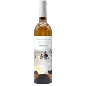 Domaine Sainte-Marie des Crozes Corbières Milo Blanc 2025