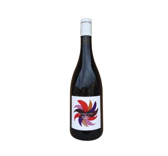 Plaisance Penavayre Vin de France Les Cosmopotes Rouge 2024